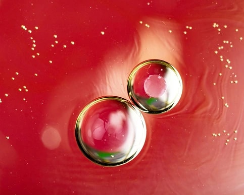 Two golden droplets on a red surface